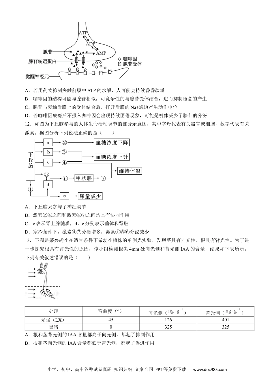 云南省曲靖市麒麟区曲靖市第一中学2023-2024学年高二下学期6月月考生物试题.docx