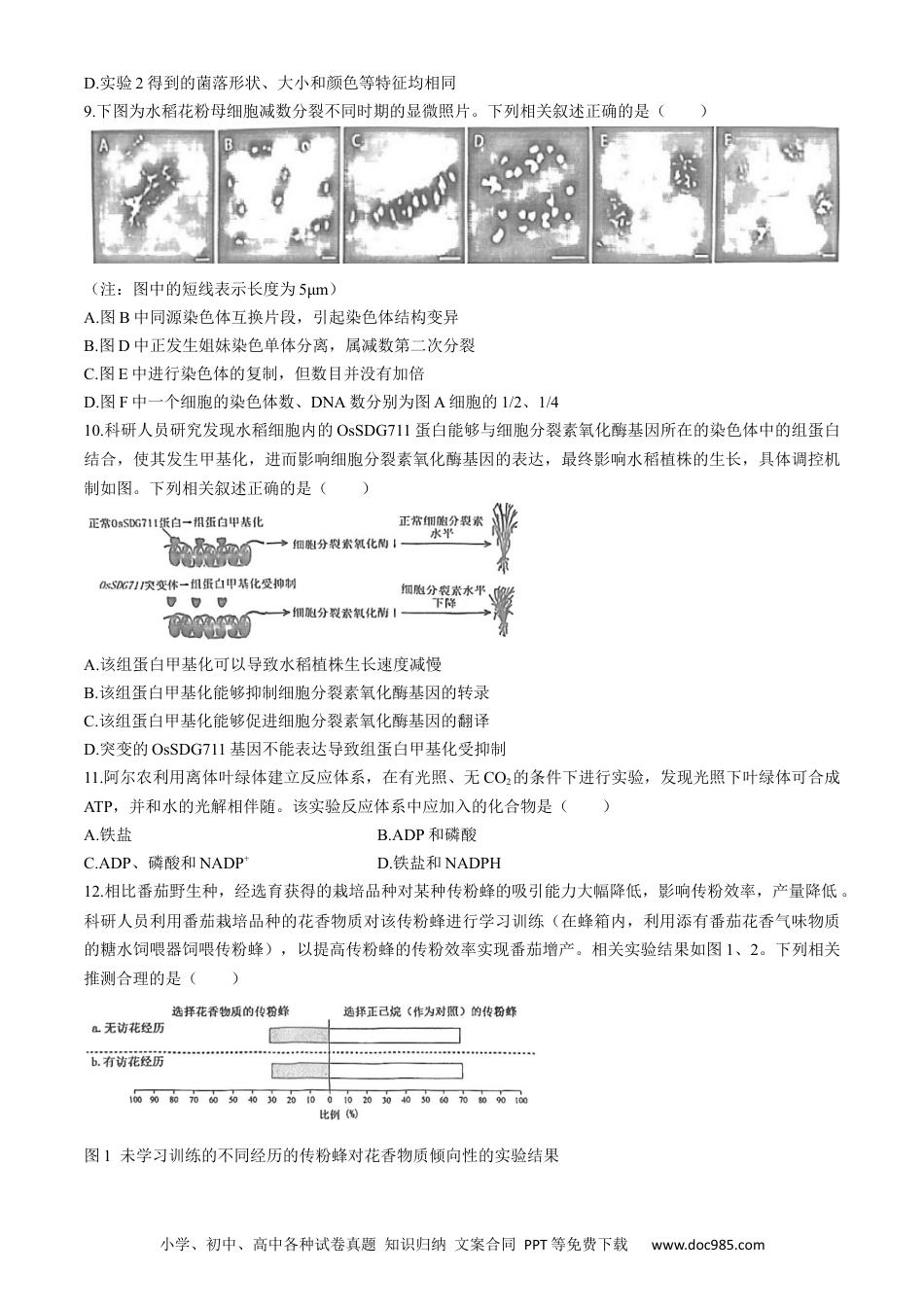 2024届福建省泉州市高三下学期5月适应性练习生物试题.docx