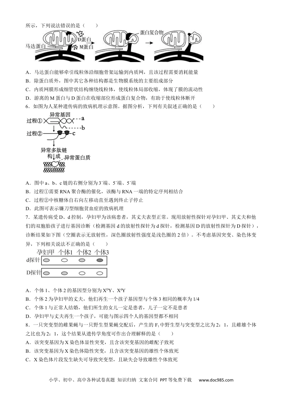 2024届湖北省荆州中学高三下学期第三次适应性考试生物试题(2).docx