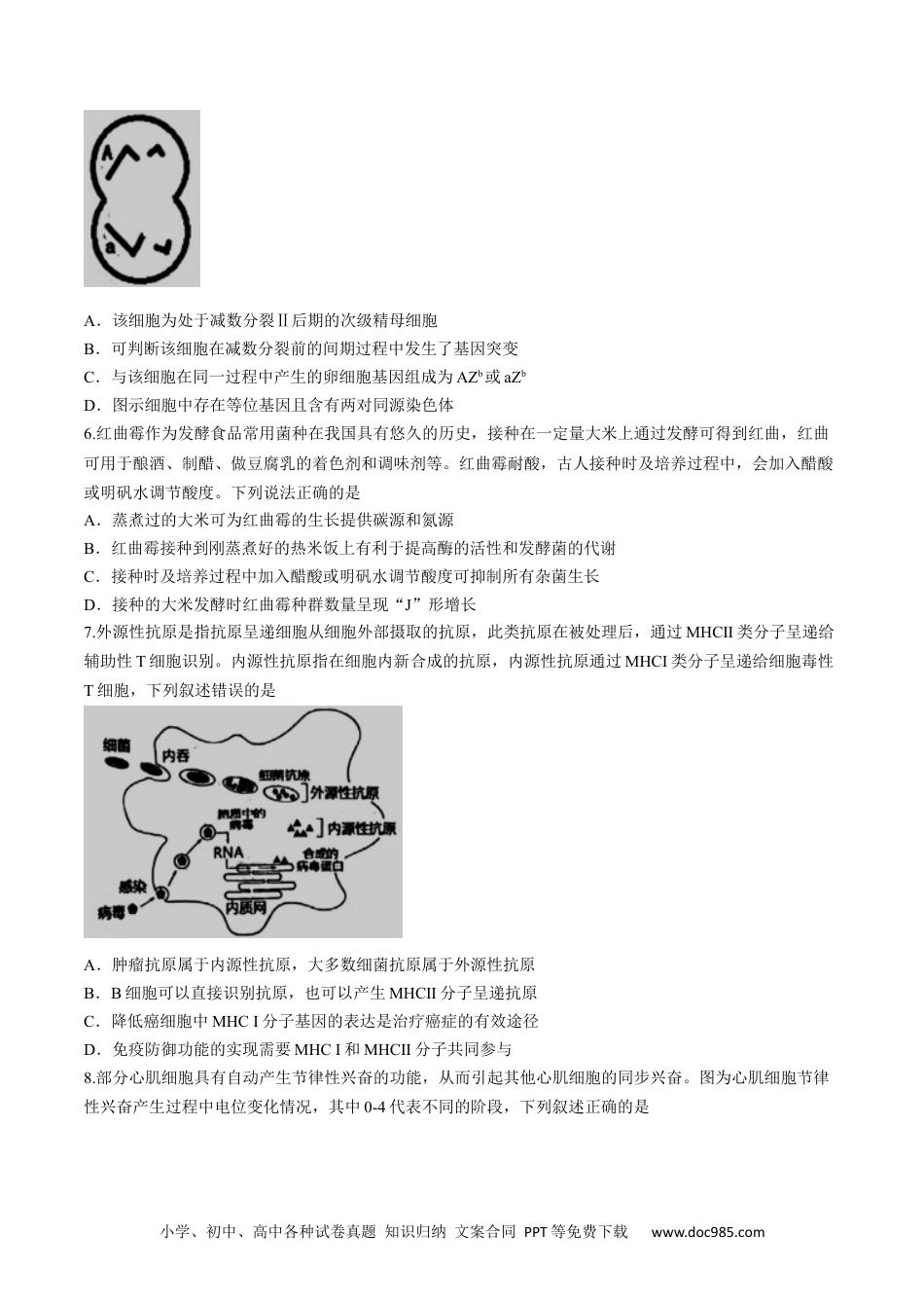 2024届江西省南昌市2高三第三次模拟测试生物试题.docx