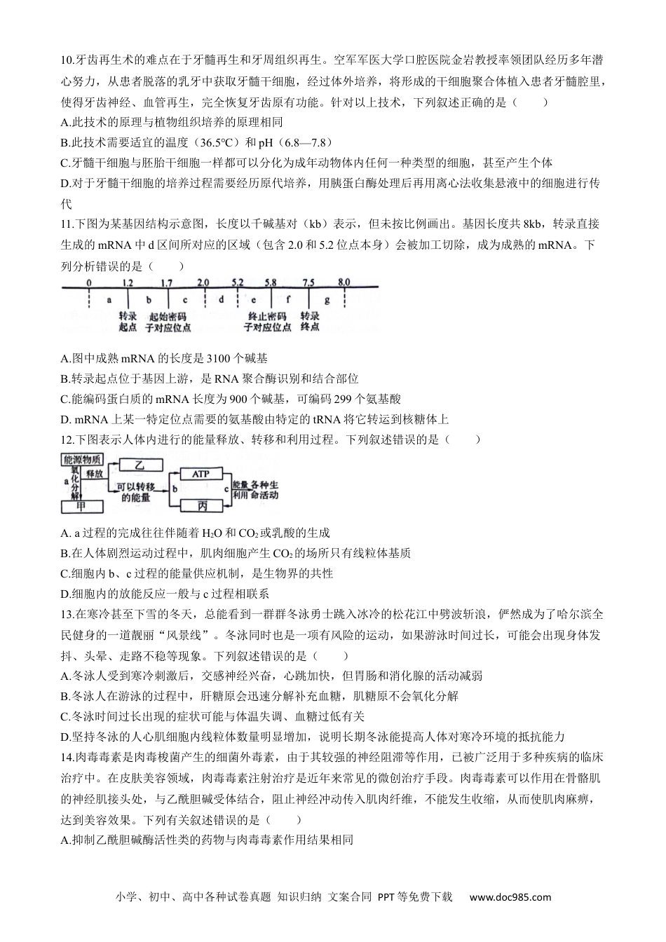 2024年东北三省四校高三下学期第四次模拟考试生物试卷(1).docx