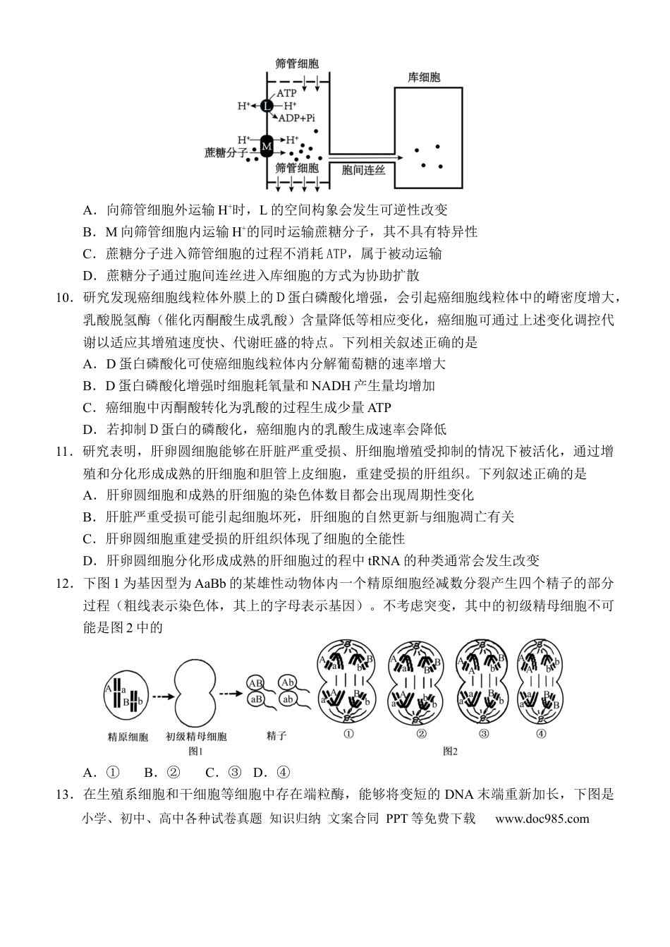 2025-2026学年度上学期高中学段高三联合考试生物学试题.docx