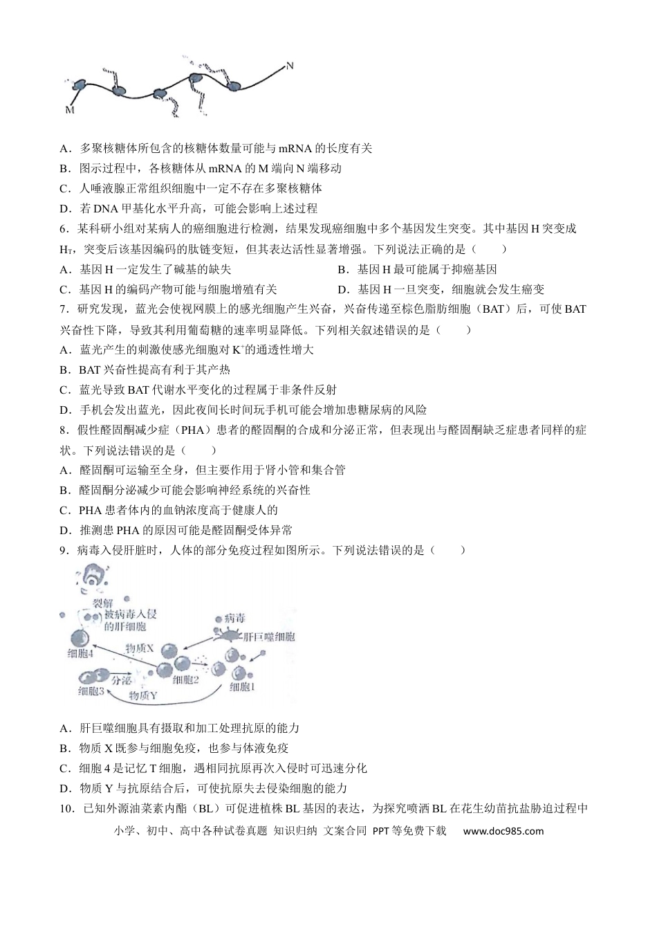 2025届高三金太阳百万9月开学联考生物试卷（有解析）.docx
