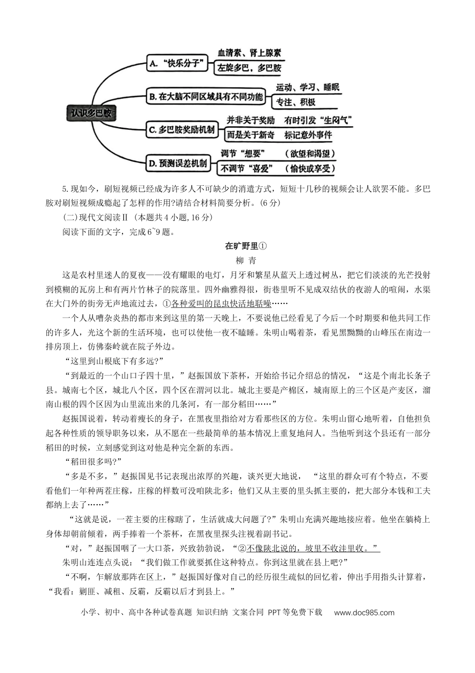 2025届河北省“五个一”名校联盟高三第一次联考语文试卷(1).docx