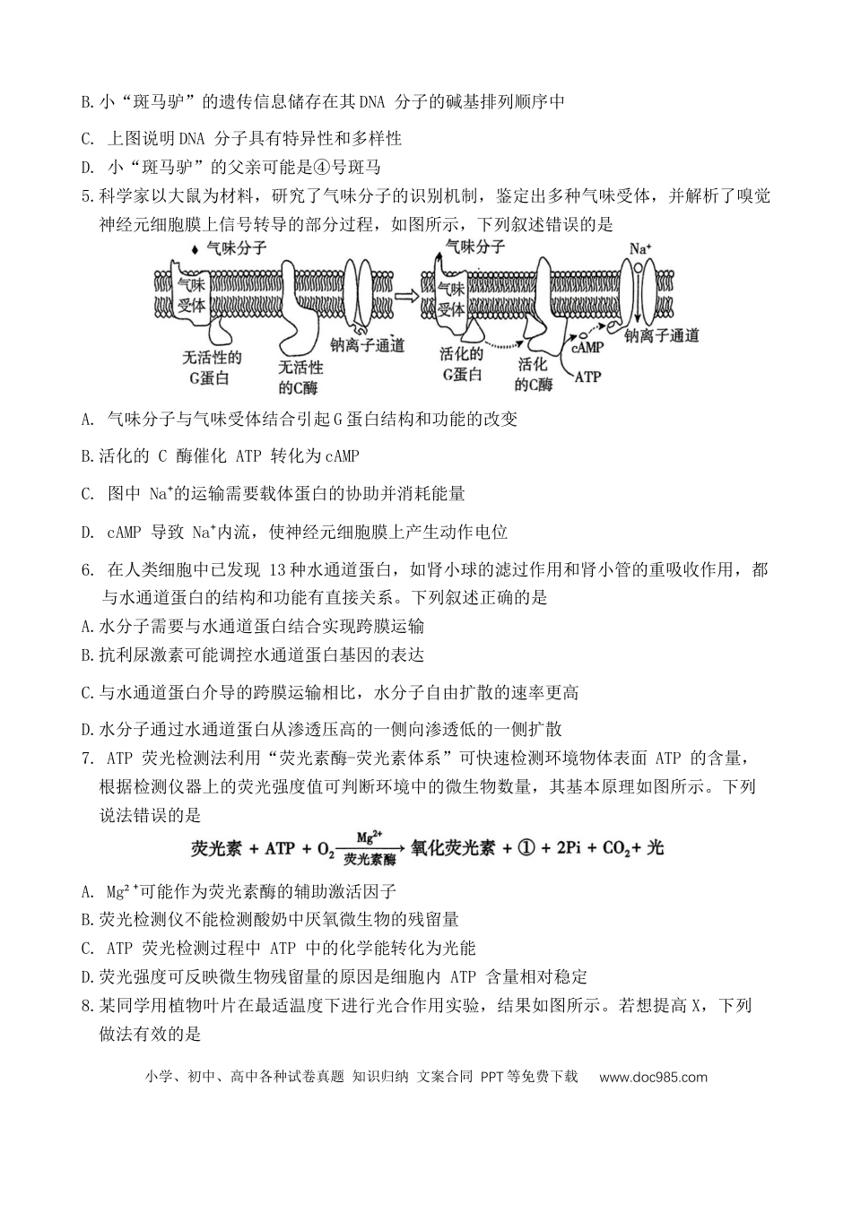 2025届河南省豫西北教研联盟（许洛平）高三上学期第一次质量检测（一模）生物试题（含答案）(1).docx