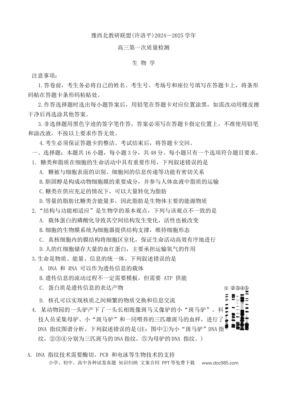 2025届河南省豫西北教研联盟（许洛平）高三上学期第一次质量检测（一模）生物试题（含答案）(2).docx