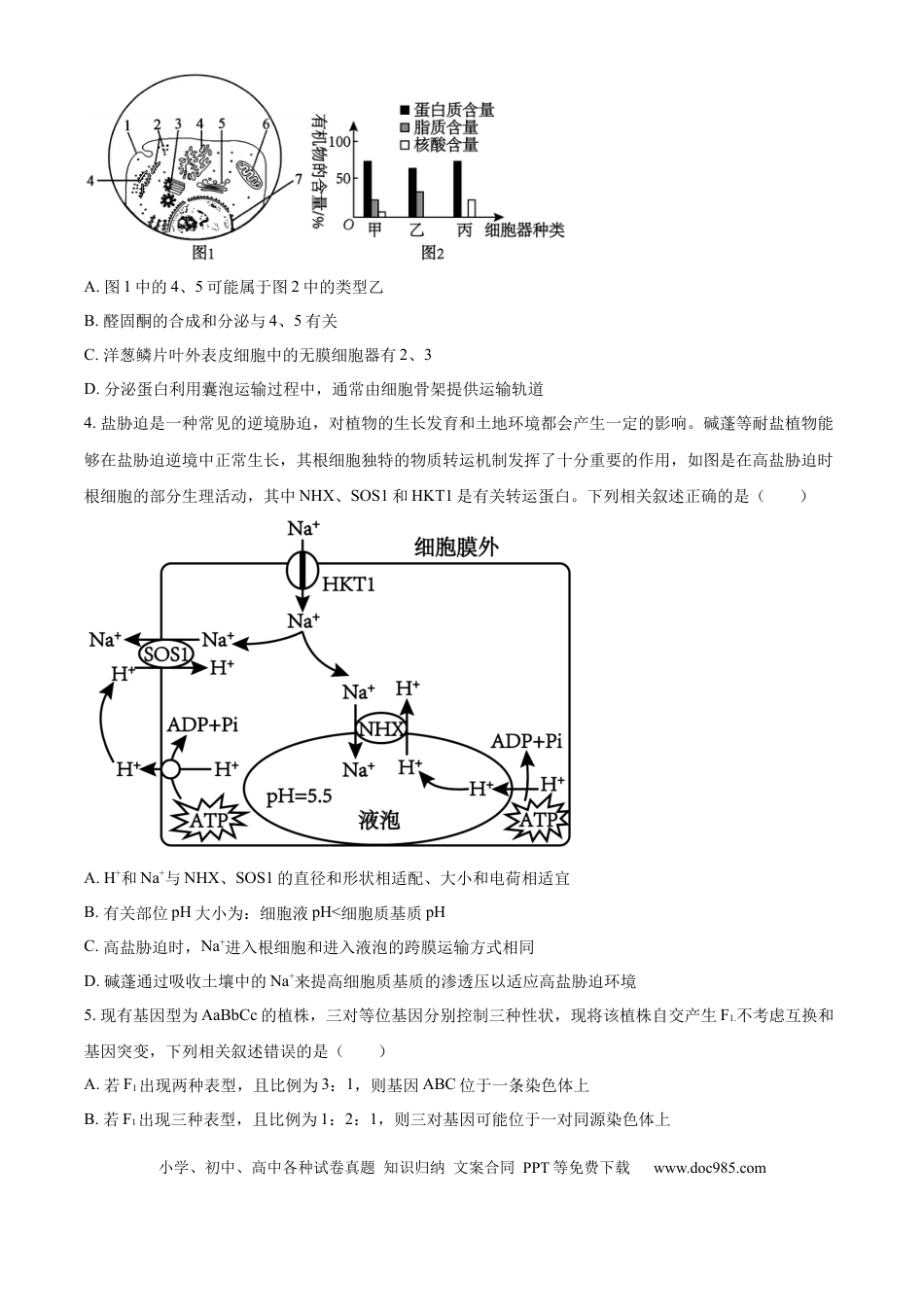 2025届黑龙江省齐齐哈尔市高三下学期一模生物学试题（含答案）(1).docx