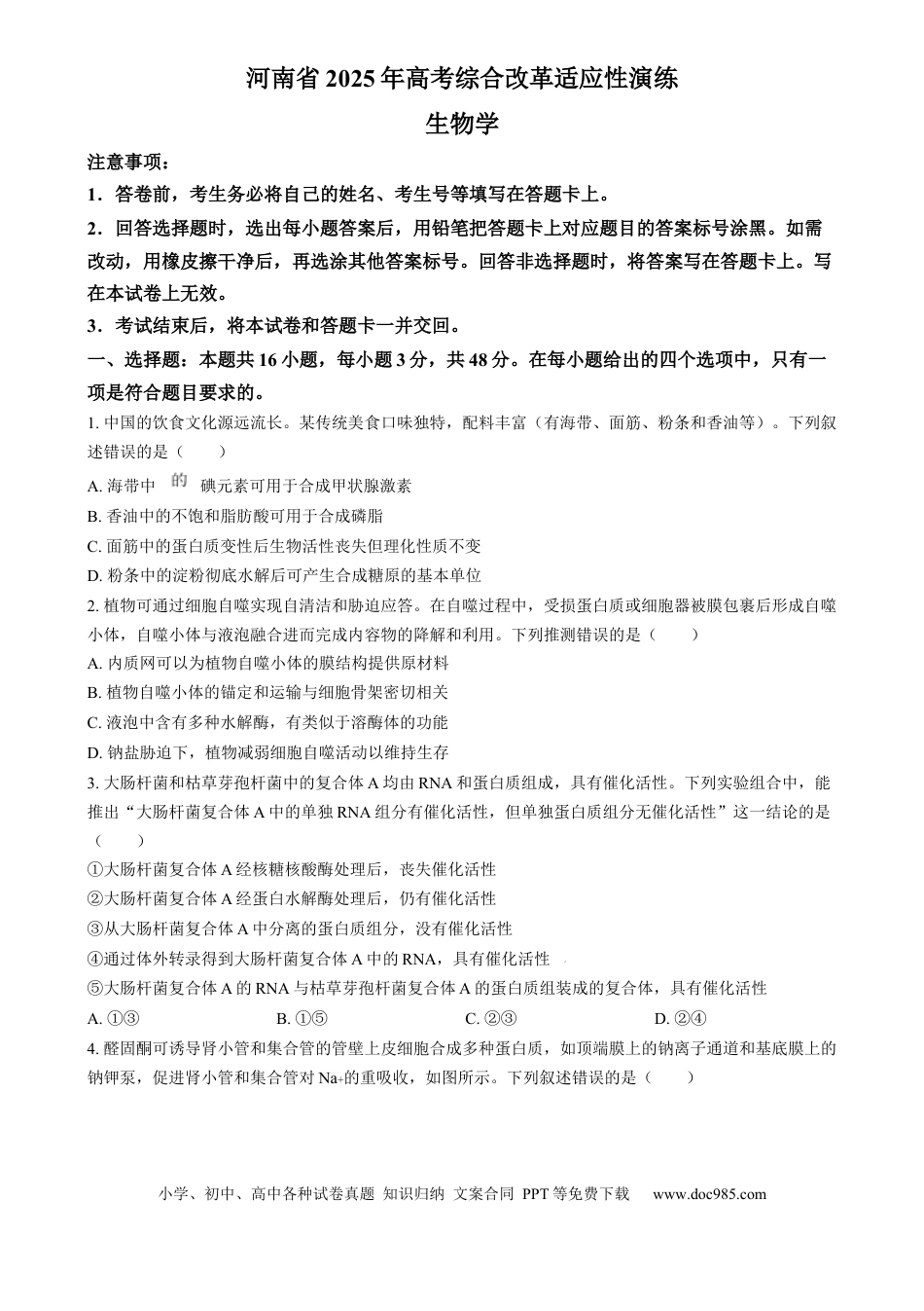 2025年1月普通高校适应性测试河南生物  Word版无答案(1).docx