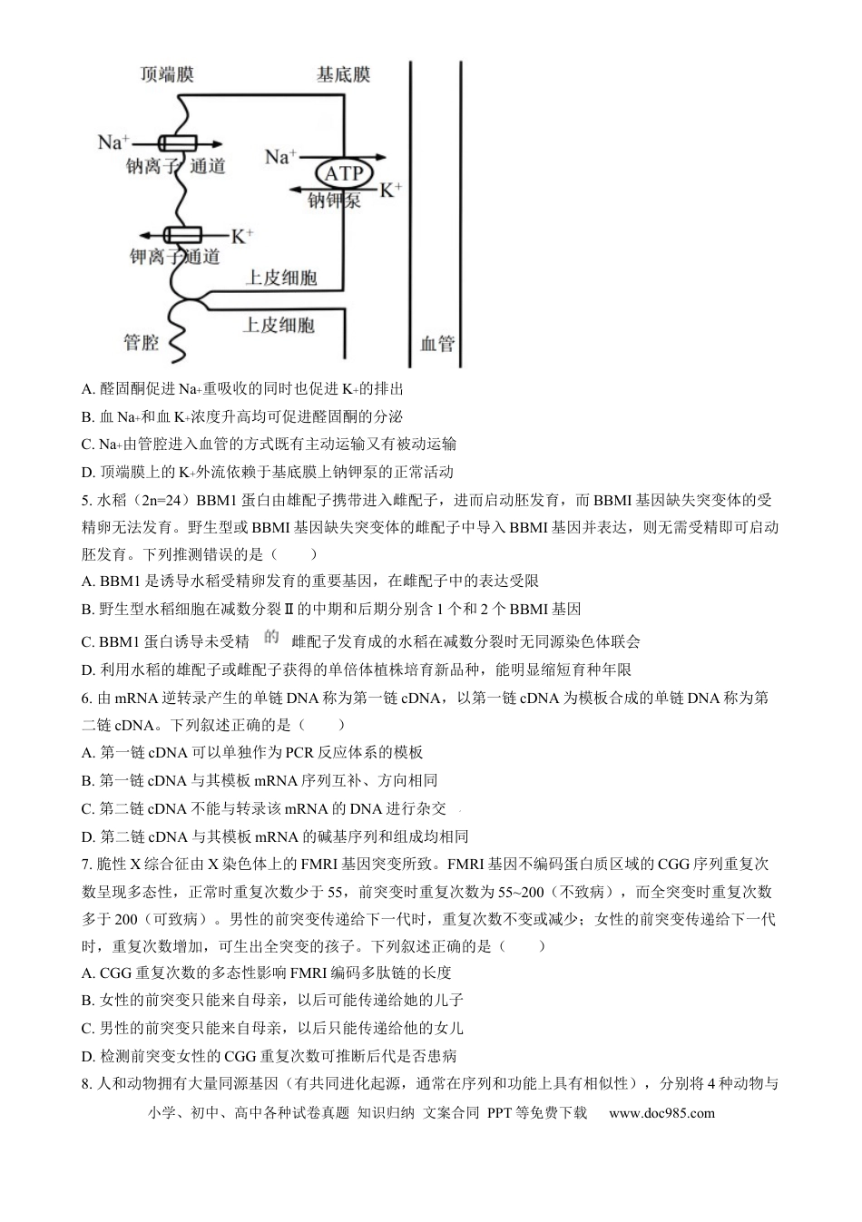 2025年1月普通高校适应性测试河南生物  Word版无答案(1).docx