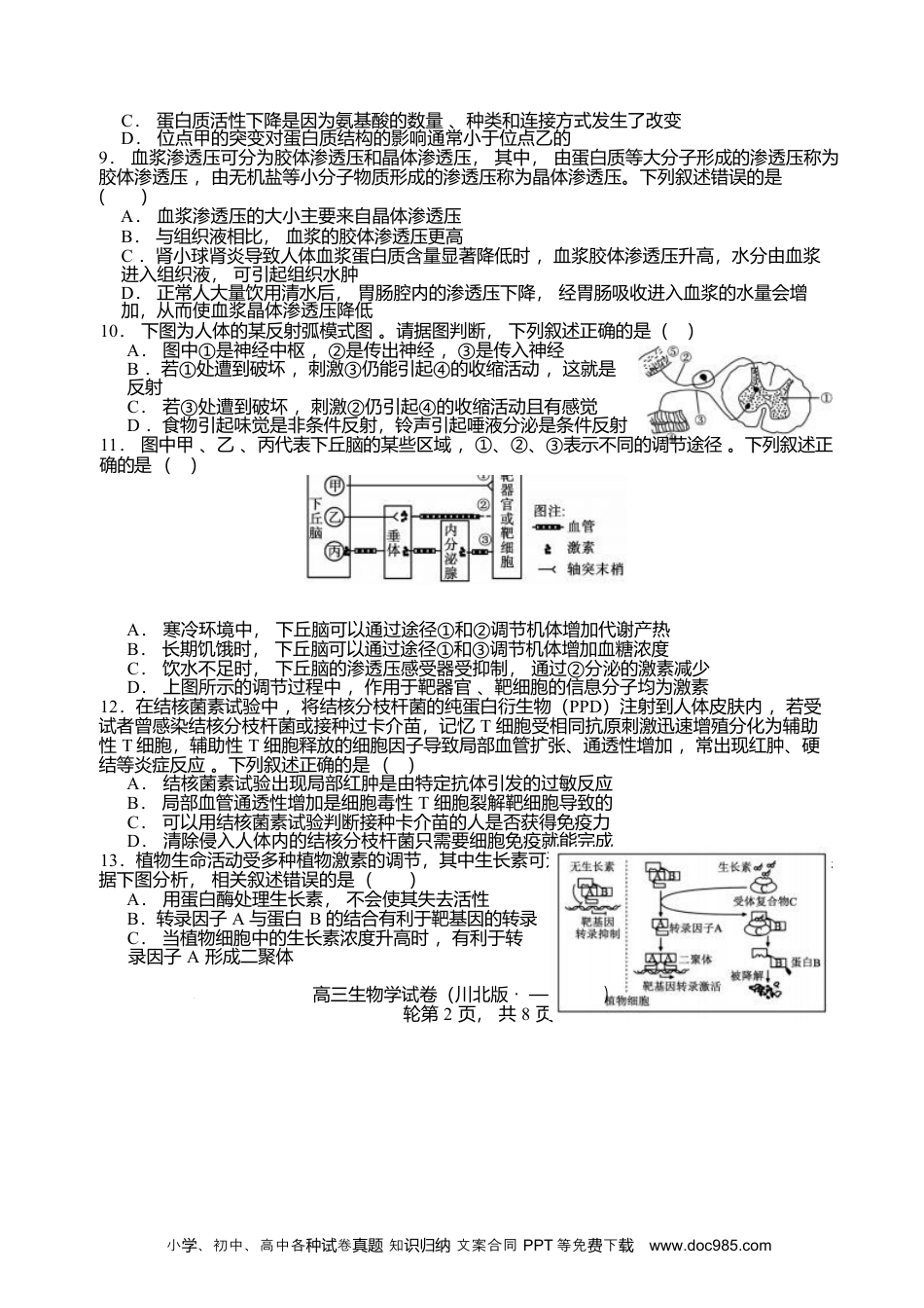 2026届四川省字节精准教育联盟高三上学期1月一模生物试题(1).docx