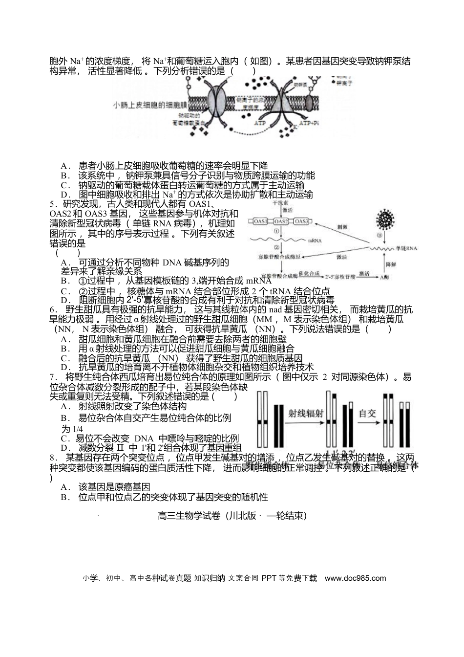 2026届四川省字节精准教育联盟高三上学期1月一模生物试题.docx