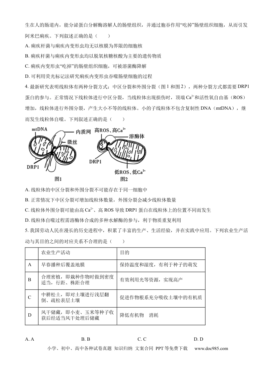 安徽省合肥一六八中学2025届高三上学期10月段考生物 Word版含解析(1).docx