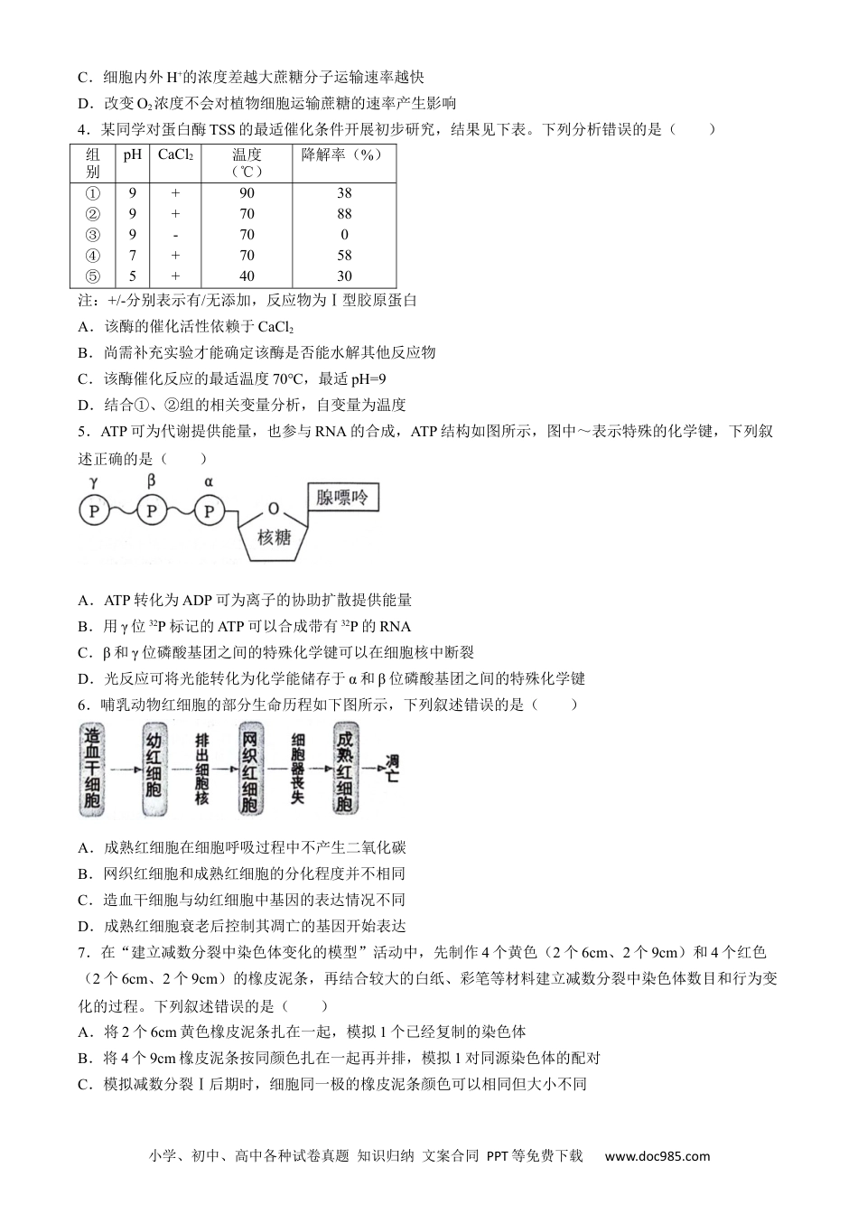 安徽省省十联考（合肥一中）2024年高二下学期7月期末生物试题.docx