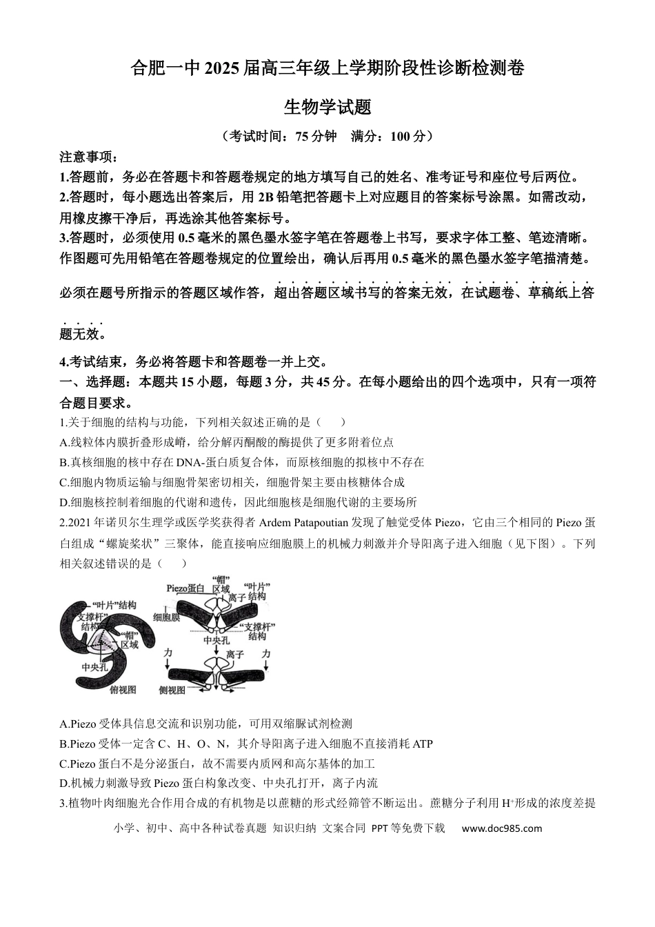 安徽省十联考合肥市第一中学等校2025届高三上学期阶段性诊断检测生物+答案(3).docx