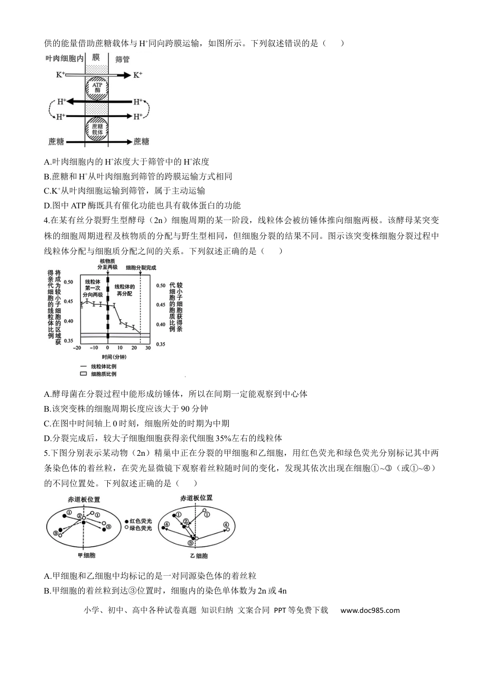 安徽省十联考合肥市第一中学等校2025届高三上学期阶段性诊断检测生物+答案(3).docx