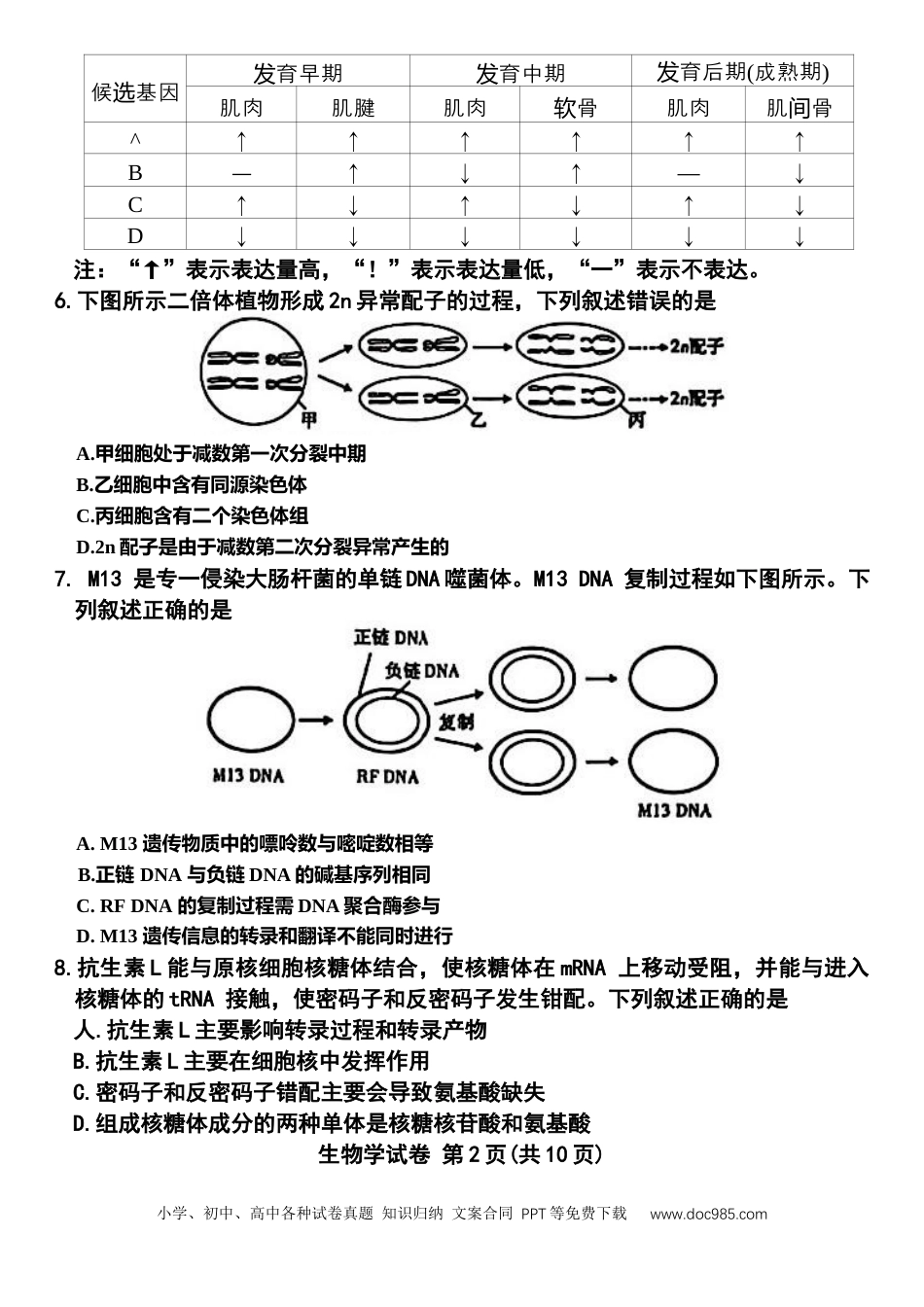 包头市2026届高三下学期二模考试 生物(1)(1).docx