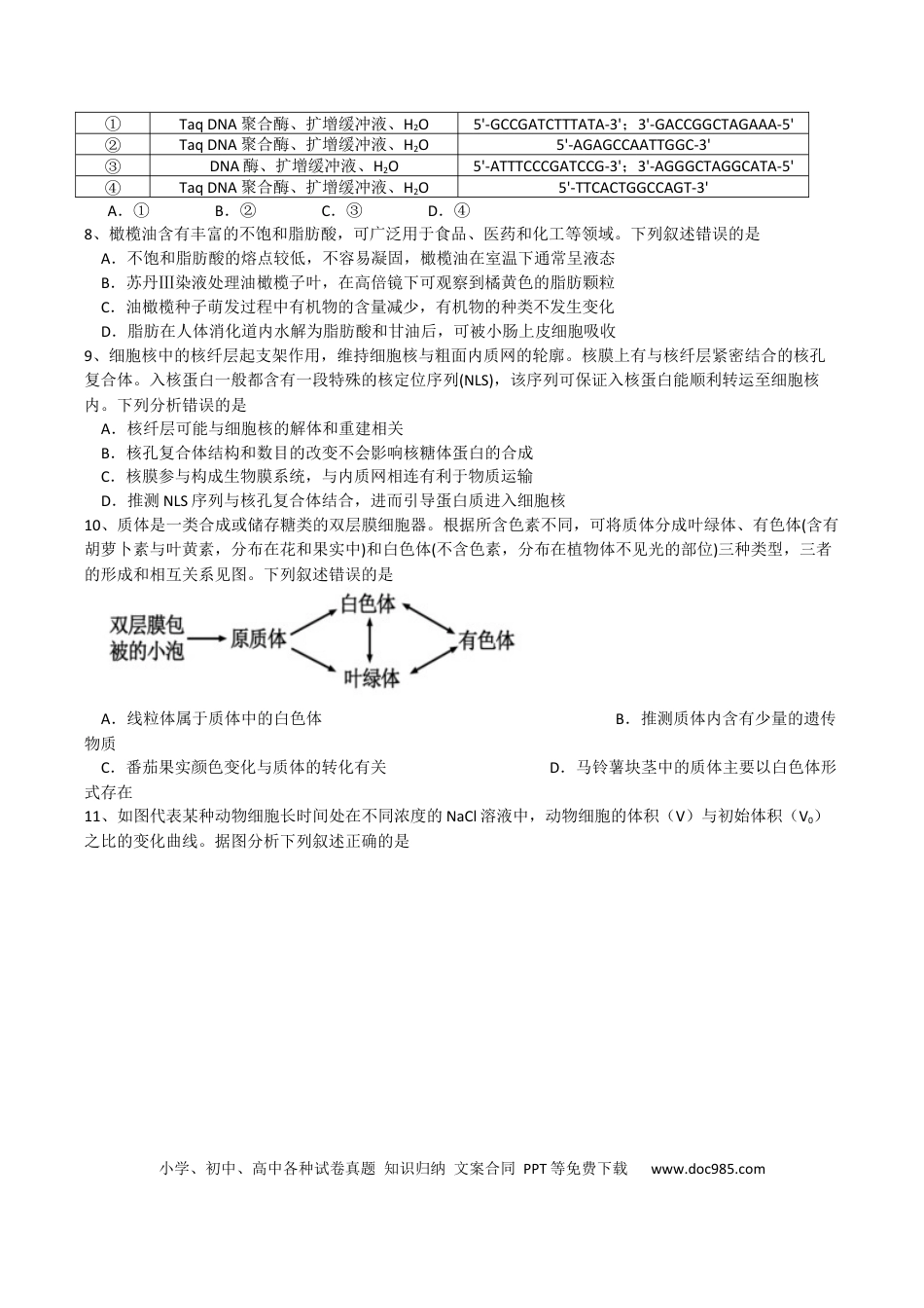 成都石室中学2024-2025学年度上期高2025届定时练习 - 生物试题(2).docx