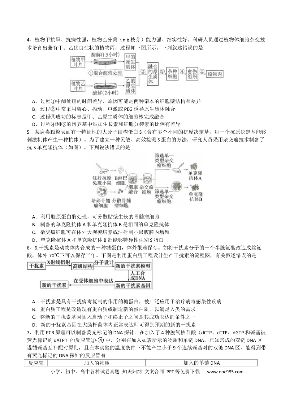 成都石室中学2024-2025学年度上期高2025届定时练习 - 生物试题.docx