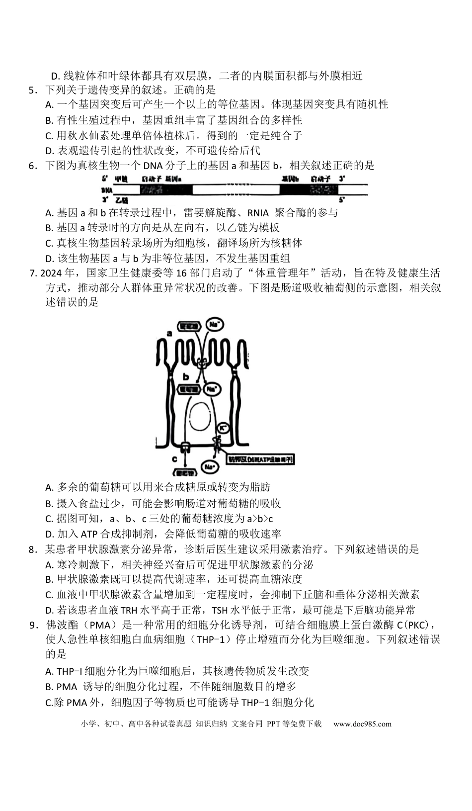 赤峰市2026届高三年级11·20模拟考试生物试题（含答案）(1).docx