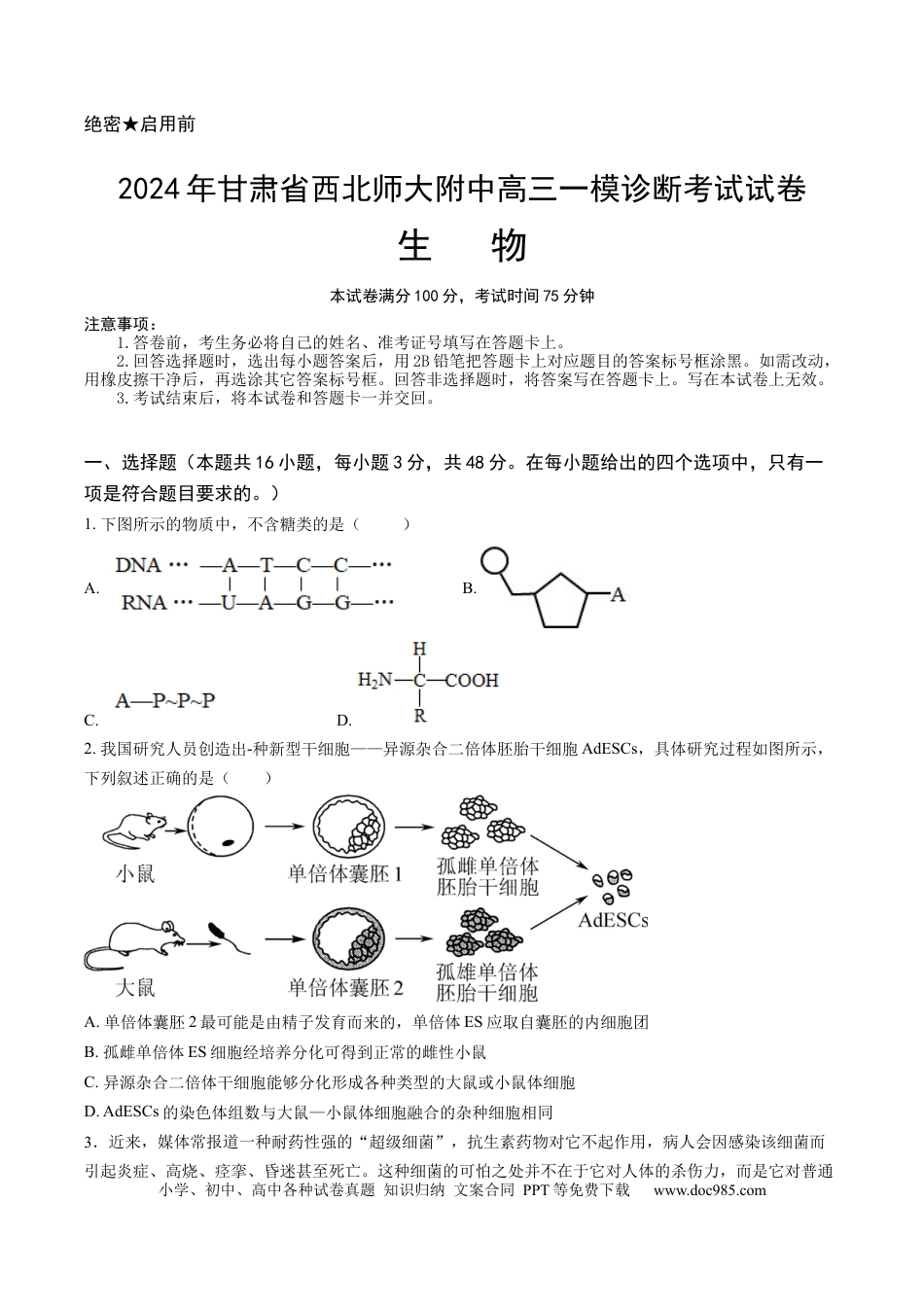 甘肃省西北师范大学附属中学2025届高三上学期一模诊断考试生物+答案(1).docx
