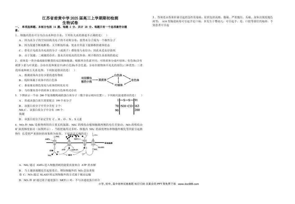 高三数学 模拟题   江苏省前黄高级中学2024-2025学年高三上学期期初检测试题 生物 Word版含答案.docx