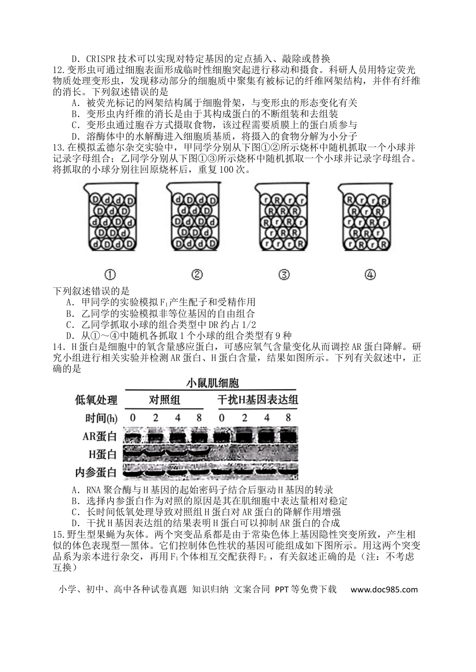 高三数学 模拟题   龙东高三生物学12月模拟试卷成稿(1).docx