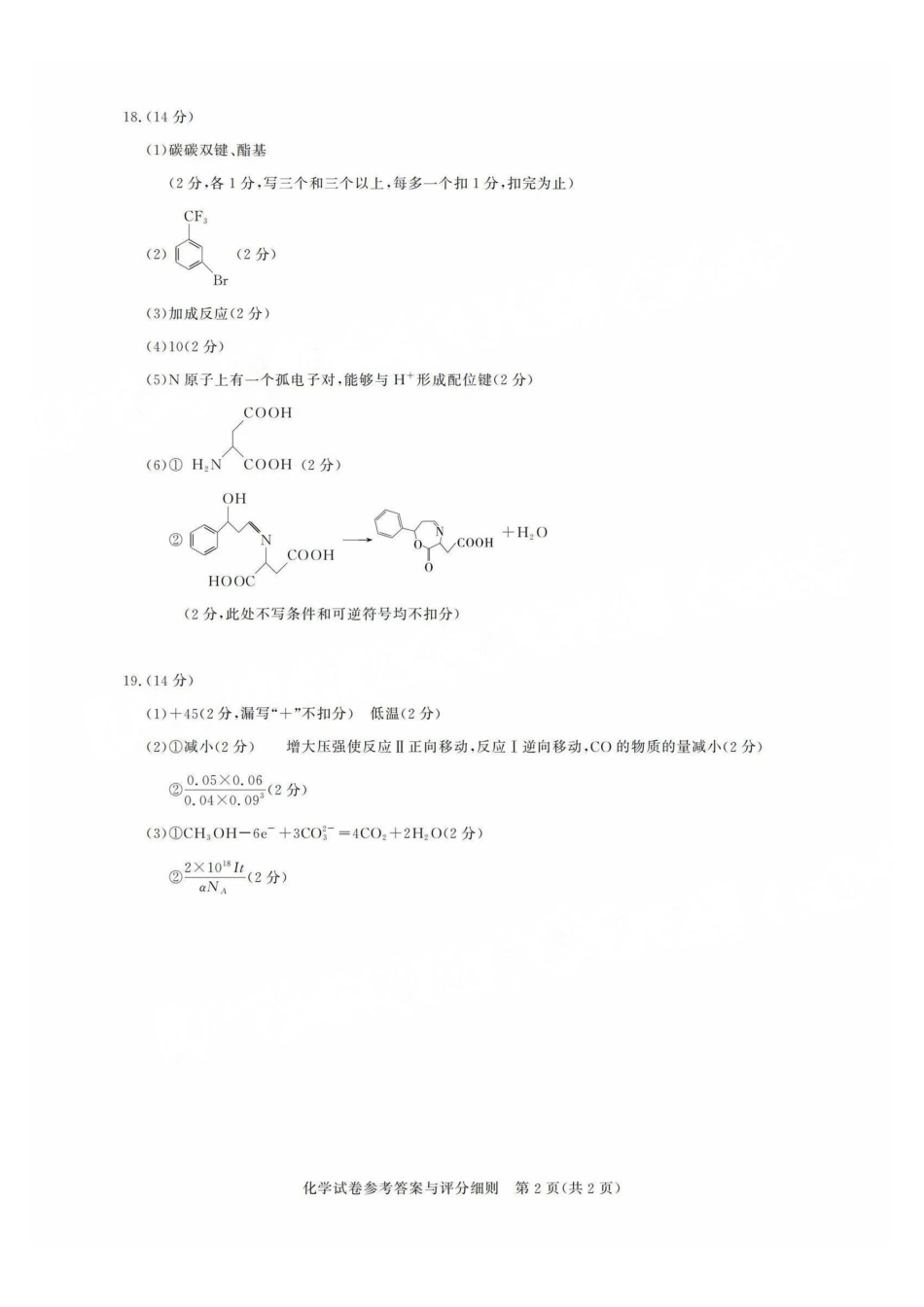 广东省2025届广州市高三年级上学期阶段性训练暨8月摸底考试(市调研考）                    化学试卷答案(1).pdf
