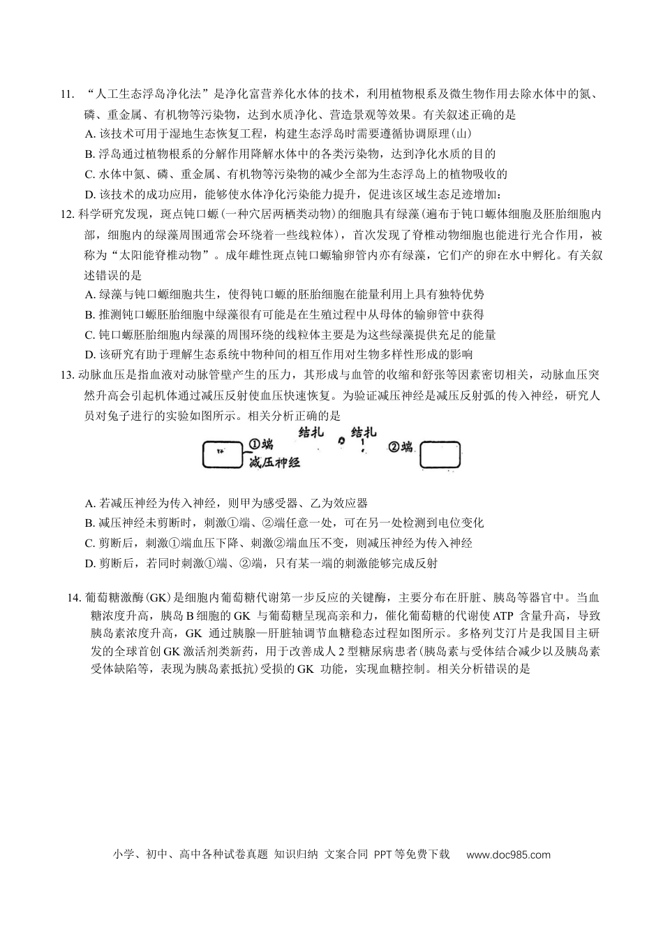 广东省佛山市顺德区2024-2025学年高三教学质量检测 (二)生物学试题（有答案）(1).docx