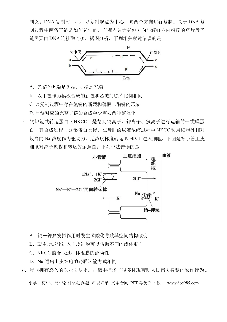 海南省文昌中学2024-2025学年高三下学期第五次月考（4月）生物(1).docx