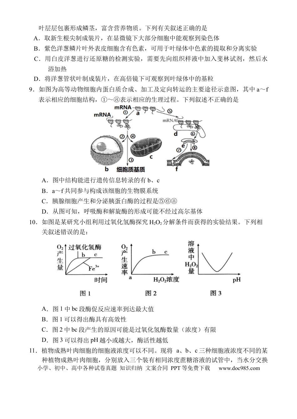 海南省文昌中学2025-2026学年高三上学期第一次月考生物试题(1).docx