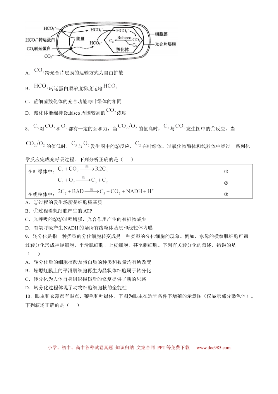 河南省2024-2025年金太阳高三年级联考（三）生物学试题（含解析）(1).docx