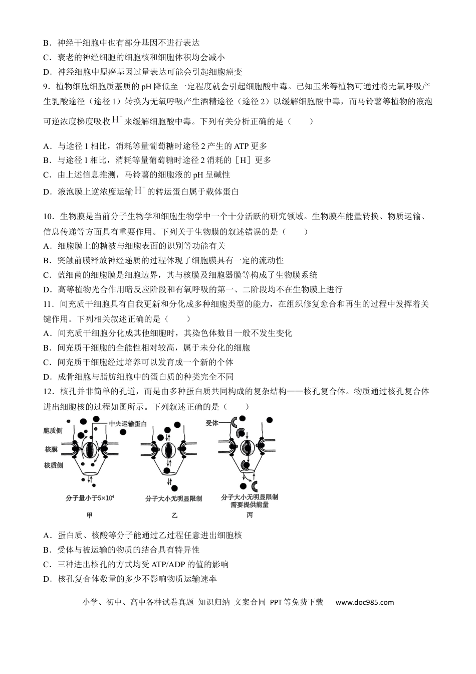 河南省创新发展联盟2024-2025学年高三上学期9月第二次联考生物试题（含解析）(4).docx