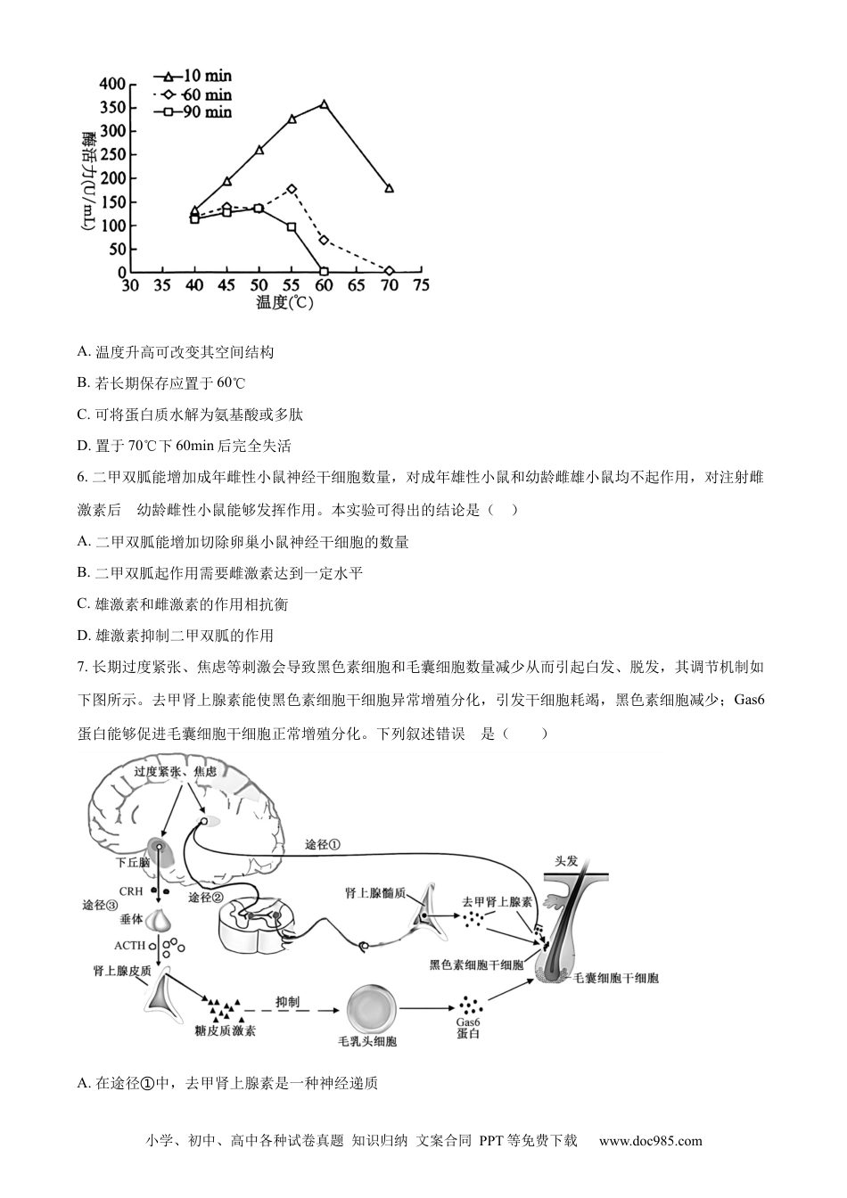 河南省漯河市2023-2024学年高二下学期期末考试 生物 Word版含解析(1).docx