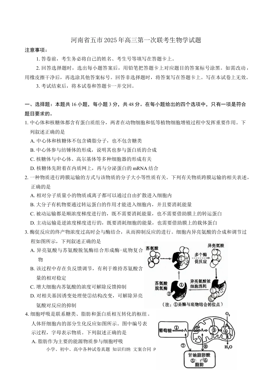 河南省五市2025年高三第一次联考生物学试题（有答案）(1).docx