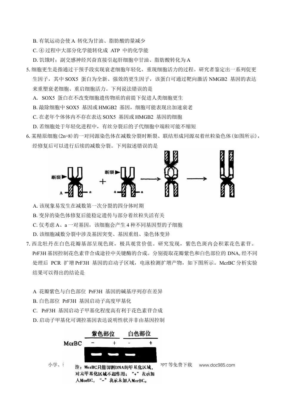 河南省五市2025年高三第一次联考生物学试题（有答案）(1).docx