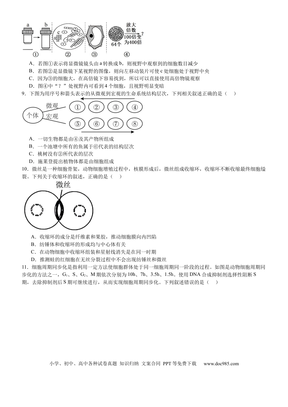 河南省信阳市淮滨县滨城高级中学2025-2026学年高三上学期9月月考生物(1).docx