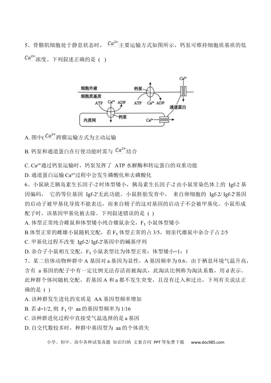 黑龙江省佳木斯市第一中学2025届高三上学期第五次调研考试 生物 Word版含答案(3).docx