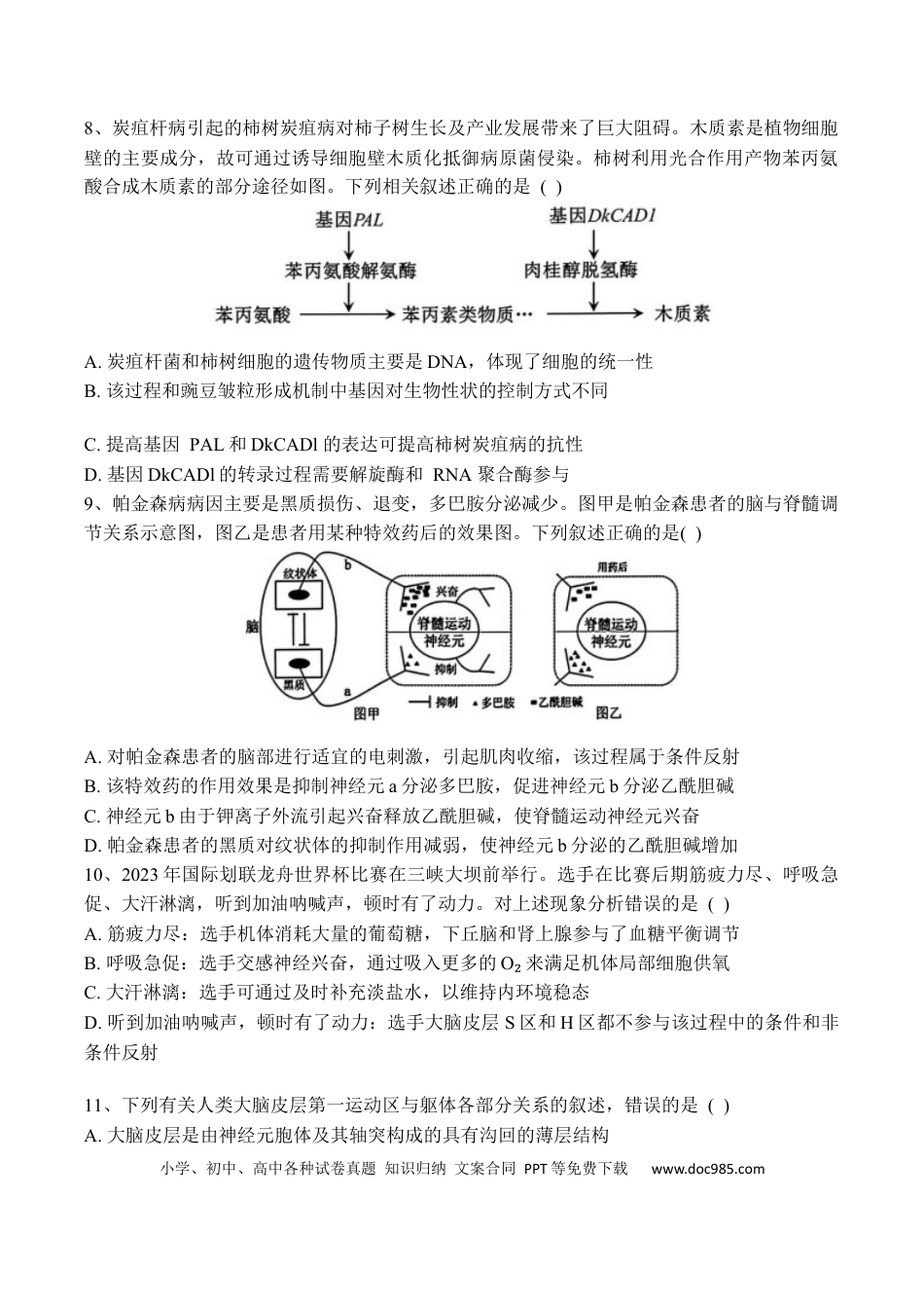 黑龙江省佳木斯市第一中学2025届高三上学期第五次调研考试 生物 Word版含答案(3).docx