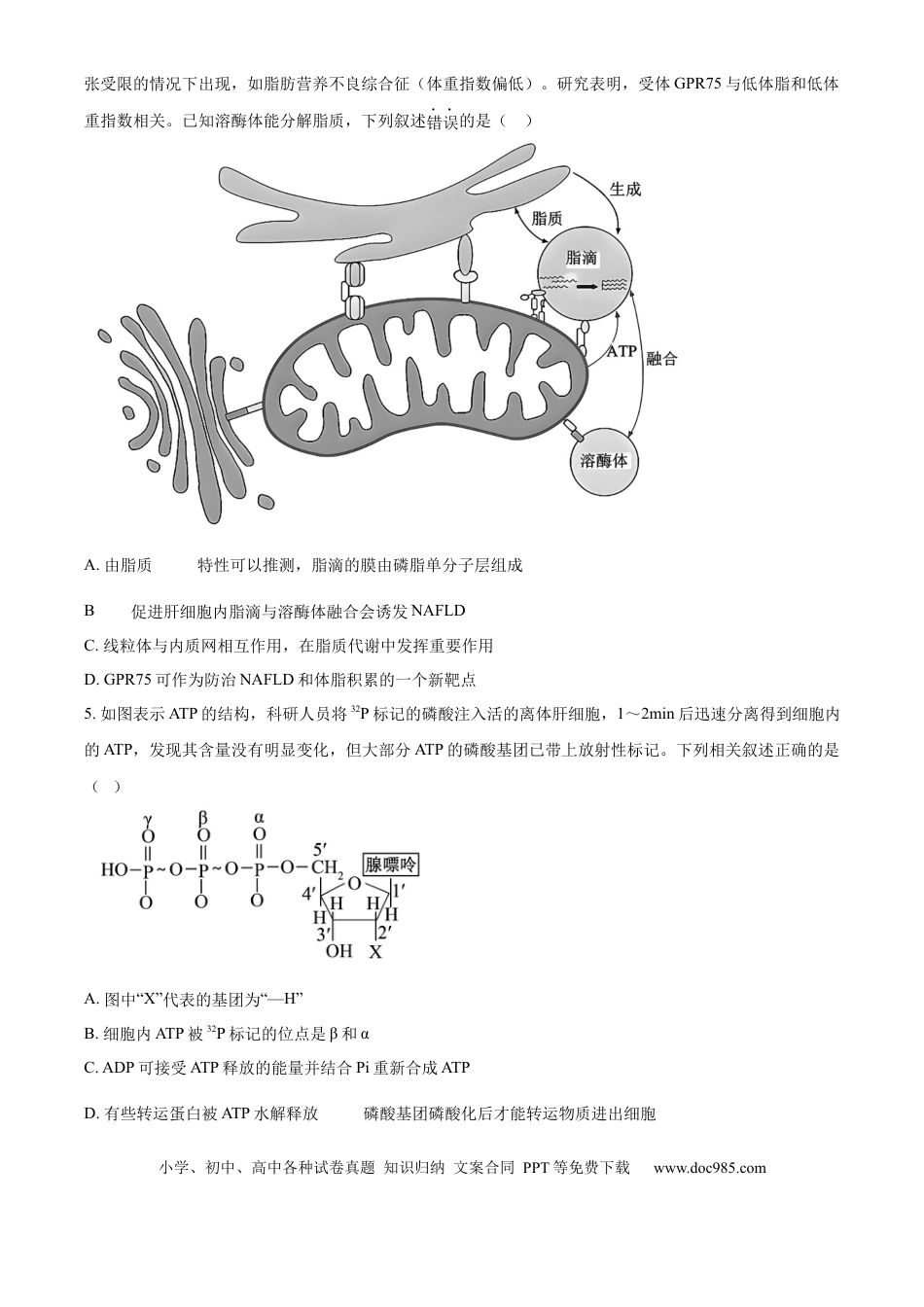 黑龙江省齐齐哈尔市龙西北高中名校联盟2025-2026学年高三上学期开学生物试题（含答案）.docx