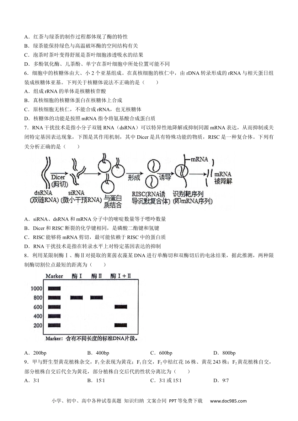 湖北省武汉市江岸区2023-2024学年高二下学期7月期末生物试题 Word版含答案.docx