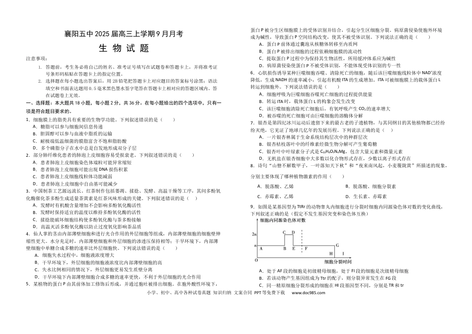湖北省襄阳市第五中学2024-2025学年高三上学期9月月考生物试题（含答案）(1).docx