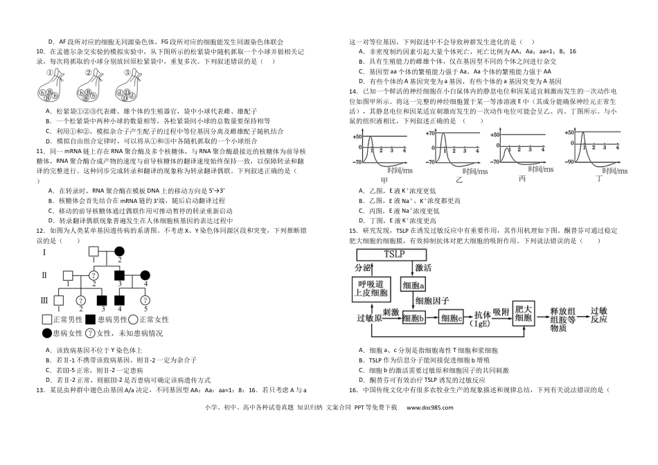 湖北省襄阳市第五中学2024-2025学年高三上学期9月月考生物试题（含答案）(4).docx