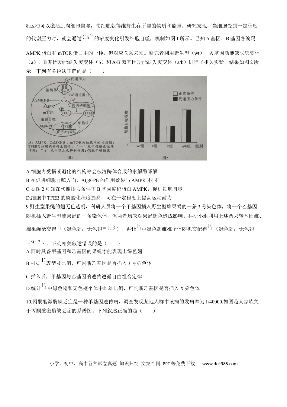 湖北省孝感市2026届高三上学期第一次统一考试生物试卷（含答案）(1).docx