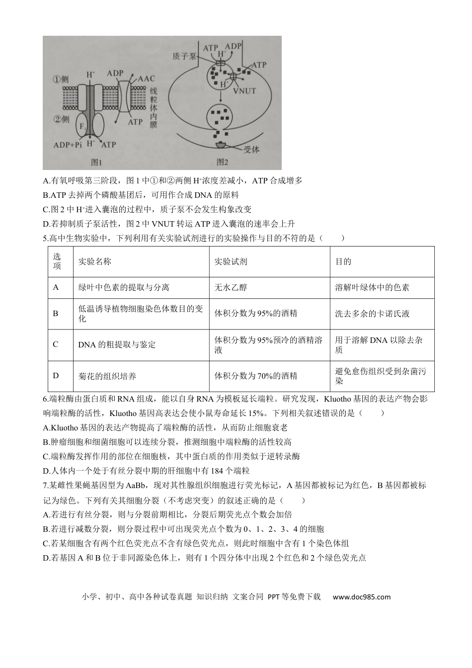 湖北省孝感市2026届高三上学期第一次统一考试生物试卷（含答案）.docx