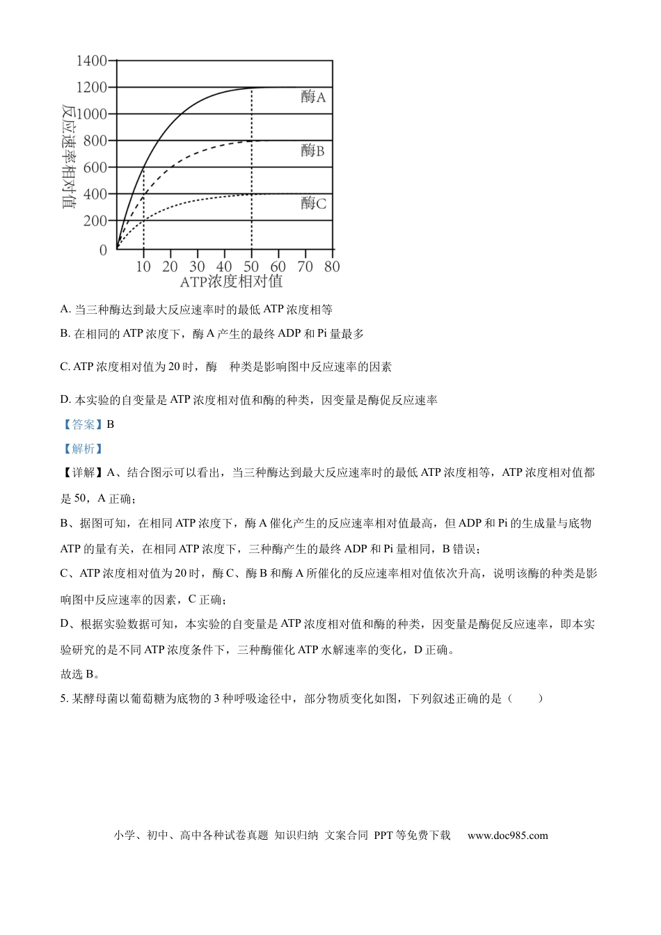 湖南省衡阳市雁峰区衡阳市第八中学2025-2026学年高三上学期11月期中生物试题 Word版含解析(1).docx