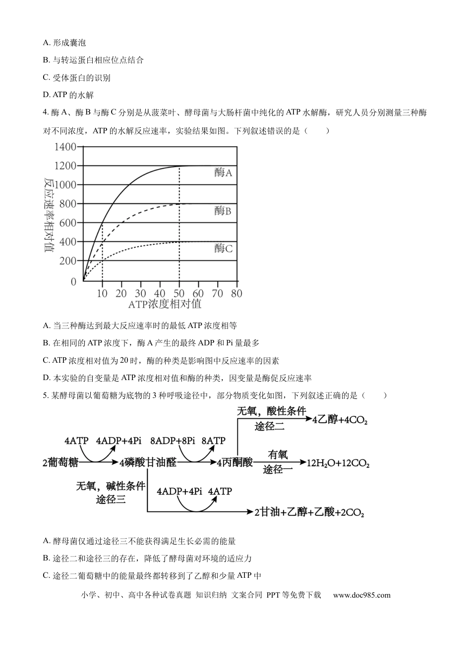湖南省衡阳市雁峰区衡阳市第八中学2025-2026学年高三上学期11月期中生物试题（原卷版）(1).docx