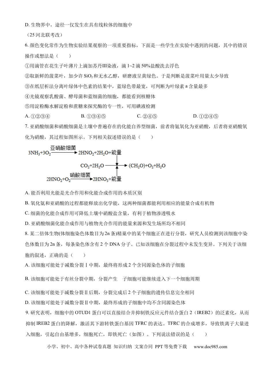湖南省衡阳市雁峰区衡阳市第八中学2025-2026学年高三上学期11月期中生物试题（原卷版）(1).docx