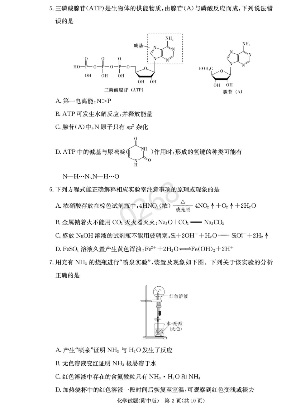 湖南省长沙市湖南师范大学附属中学2024-2025学年高三上学期第五次月考化学试卷+答案(1).pdf