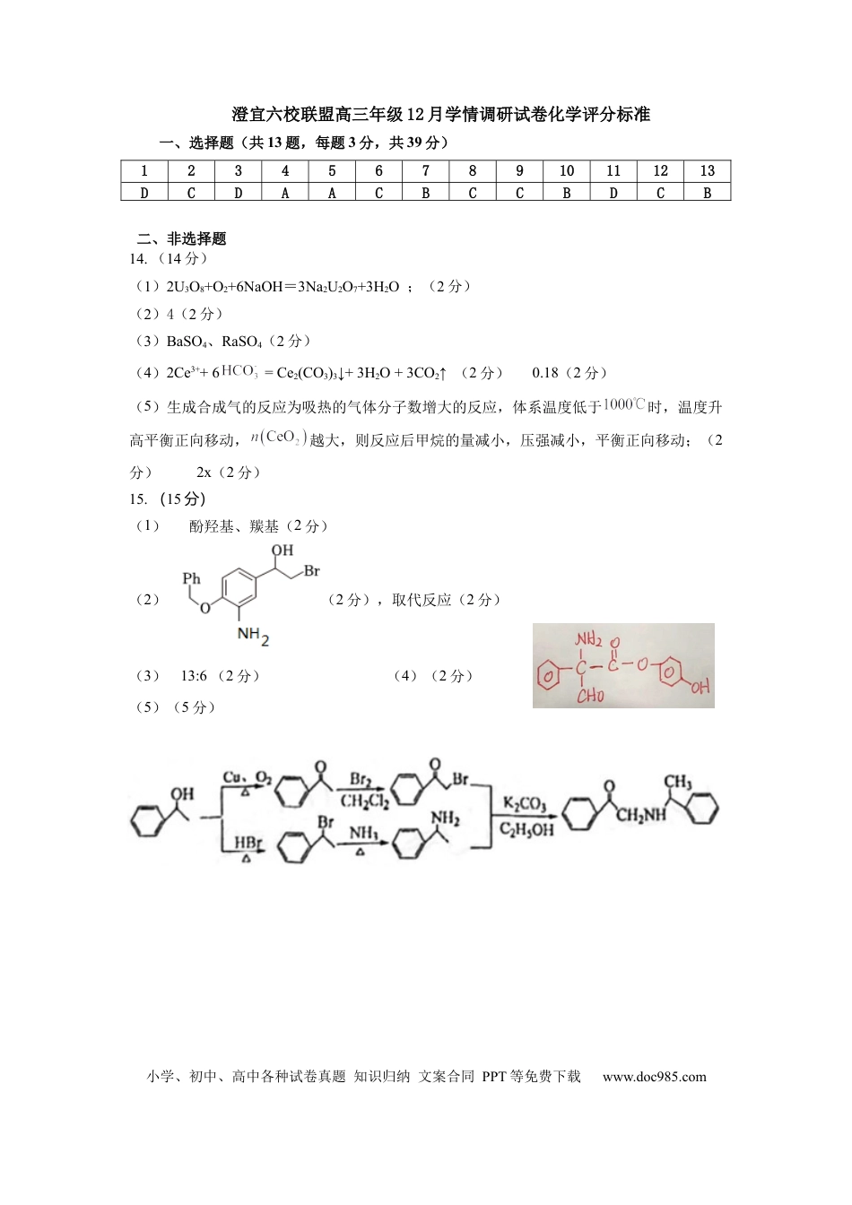 化学评分标准(1).docx