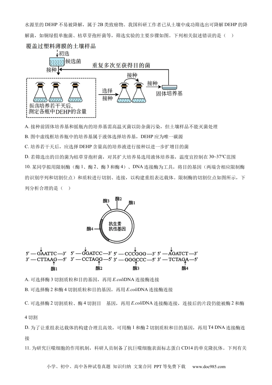 吉林省“BEST合作体”2023-2024学年高二下学期7月期末考试 生物 Word版含解析(2).docx
